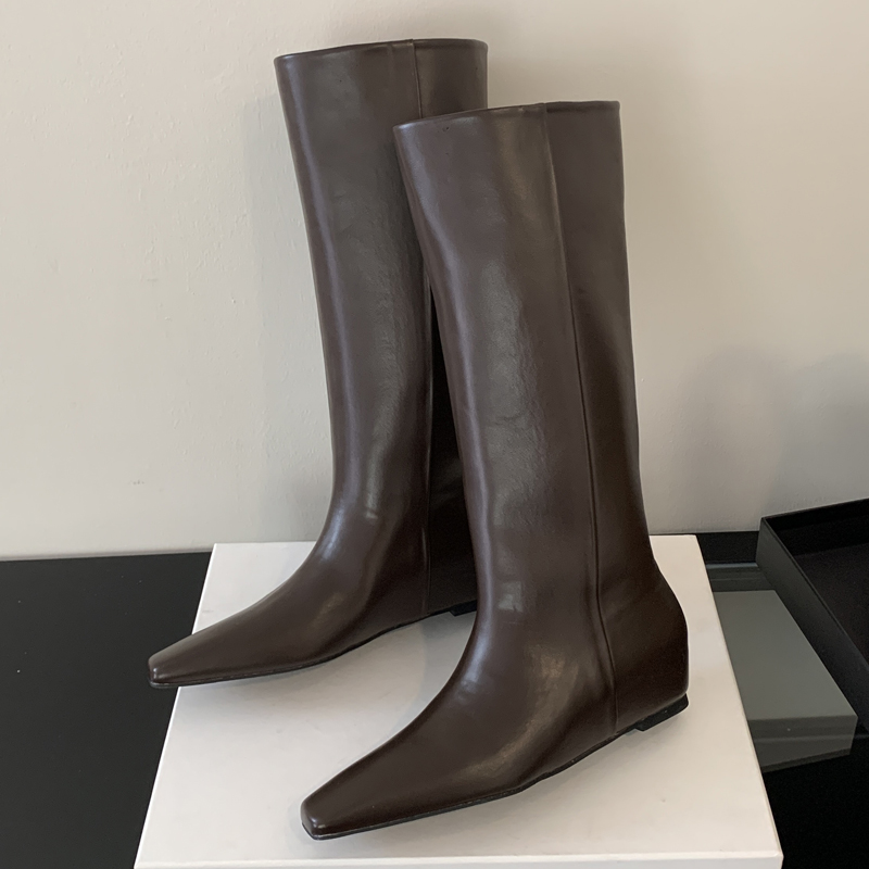 Eilyken Soft Leather Pointed T - đánh giá và giá Women'S Fashion Knee High Boots